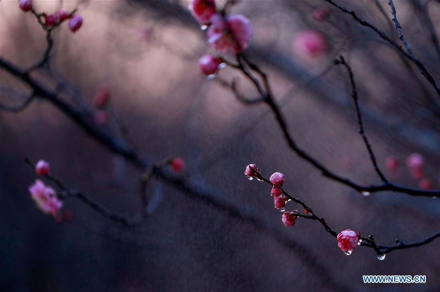 Spring in the air(1/7)